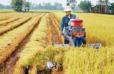 Chính sách chuyển giao công nghệ trong nông nghiệp thông qua hoạt động khuyến nông